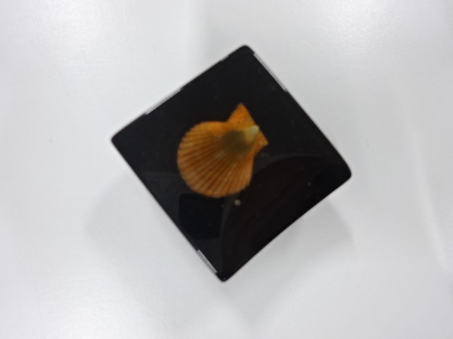 アンティーク　帯留め